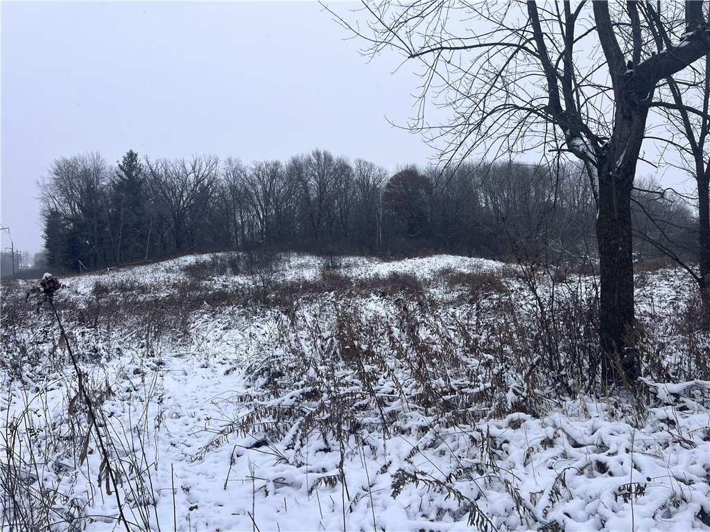 Tbd Cty Line Avenue Property Photo 1