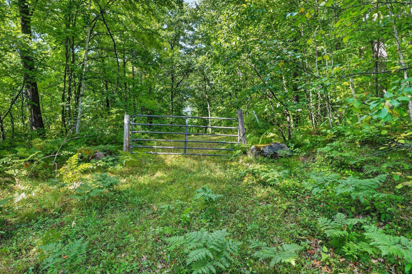 Block 2 Comet Road Property Photo 9