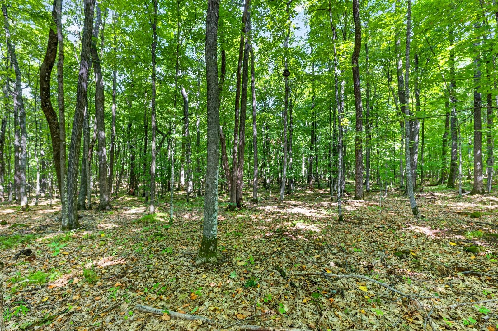 Block 8 Comet Road Property Photo 16