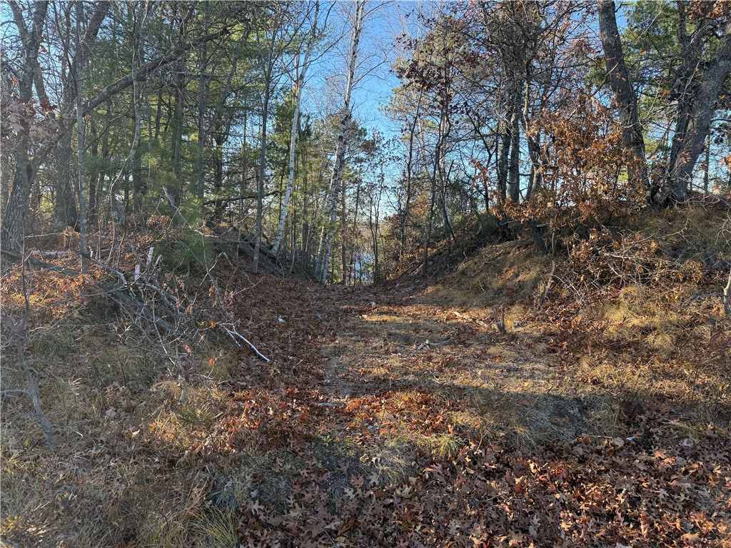 Lot 20 E Long Lqke Rd Property Photo 4