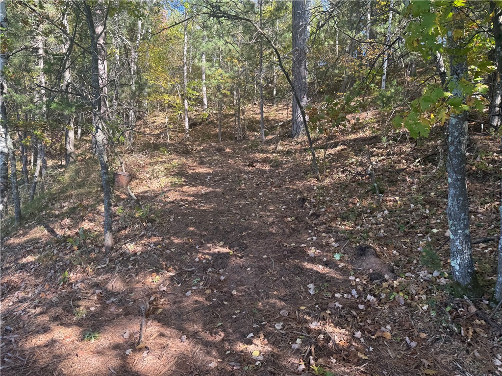 Lot 21 E Long Lake Rd Property Photo 4