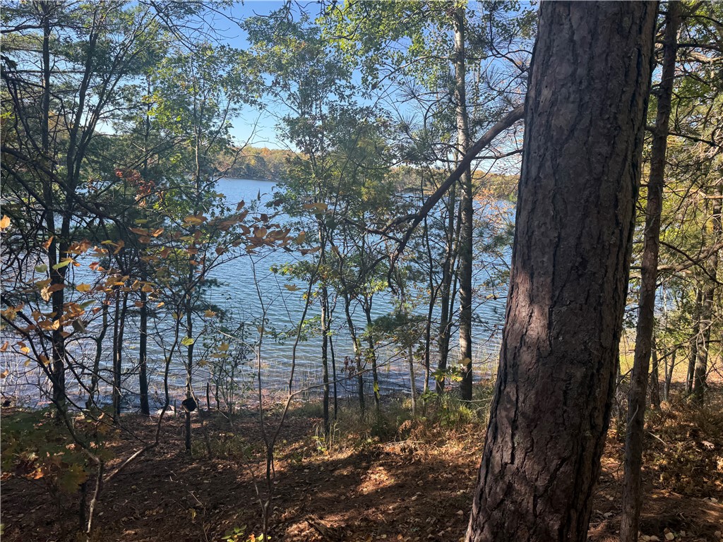 Lot 21 E Long Lake Rd Property Photo 7