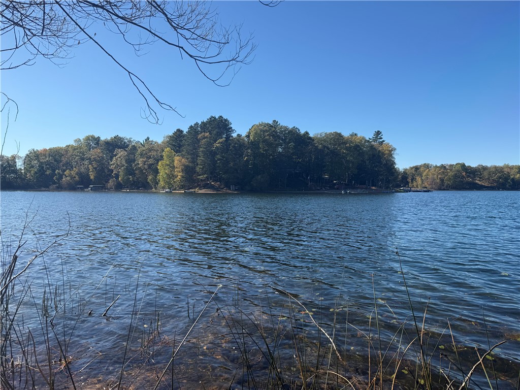 Lot 22 & 23 E Long Lake Property Photo 1