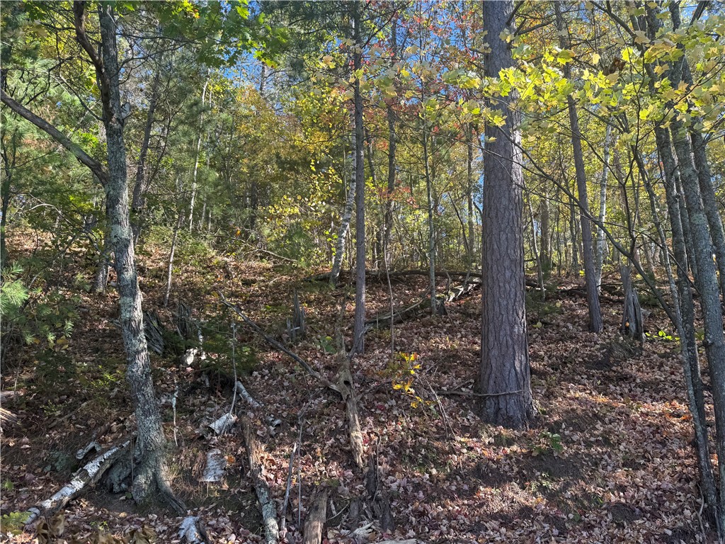 Lot 22 & 23 E Long Lake Property Photo 2