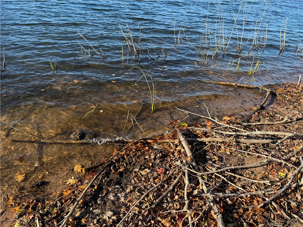 Lot 22 & 23 E Long Lake Property Photo 4