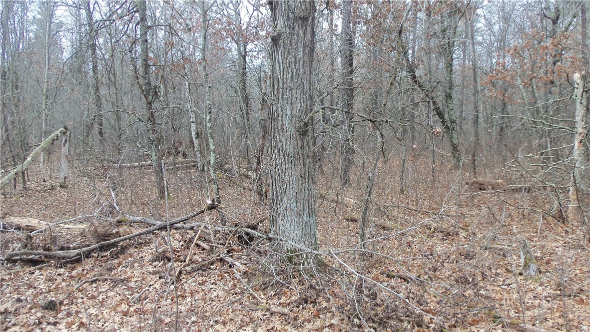 Lot 5 Canute Creek Trl Property Photo 6
