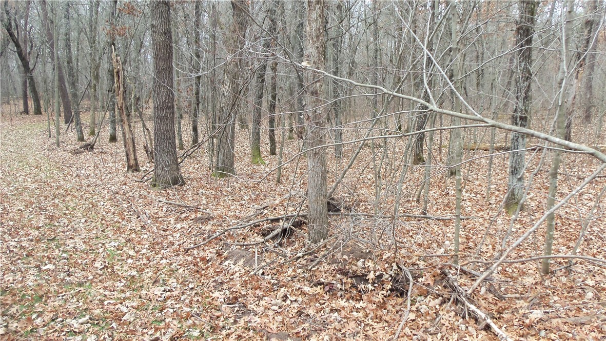 Lot 5 Canute Creek Trl Property Photo 7