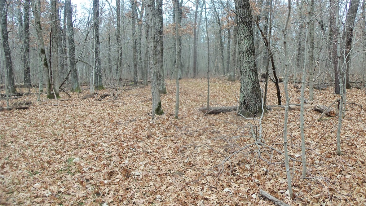 Lot 5 Canute Creek Trl Property Photo 9