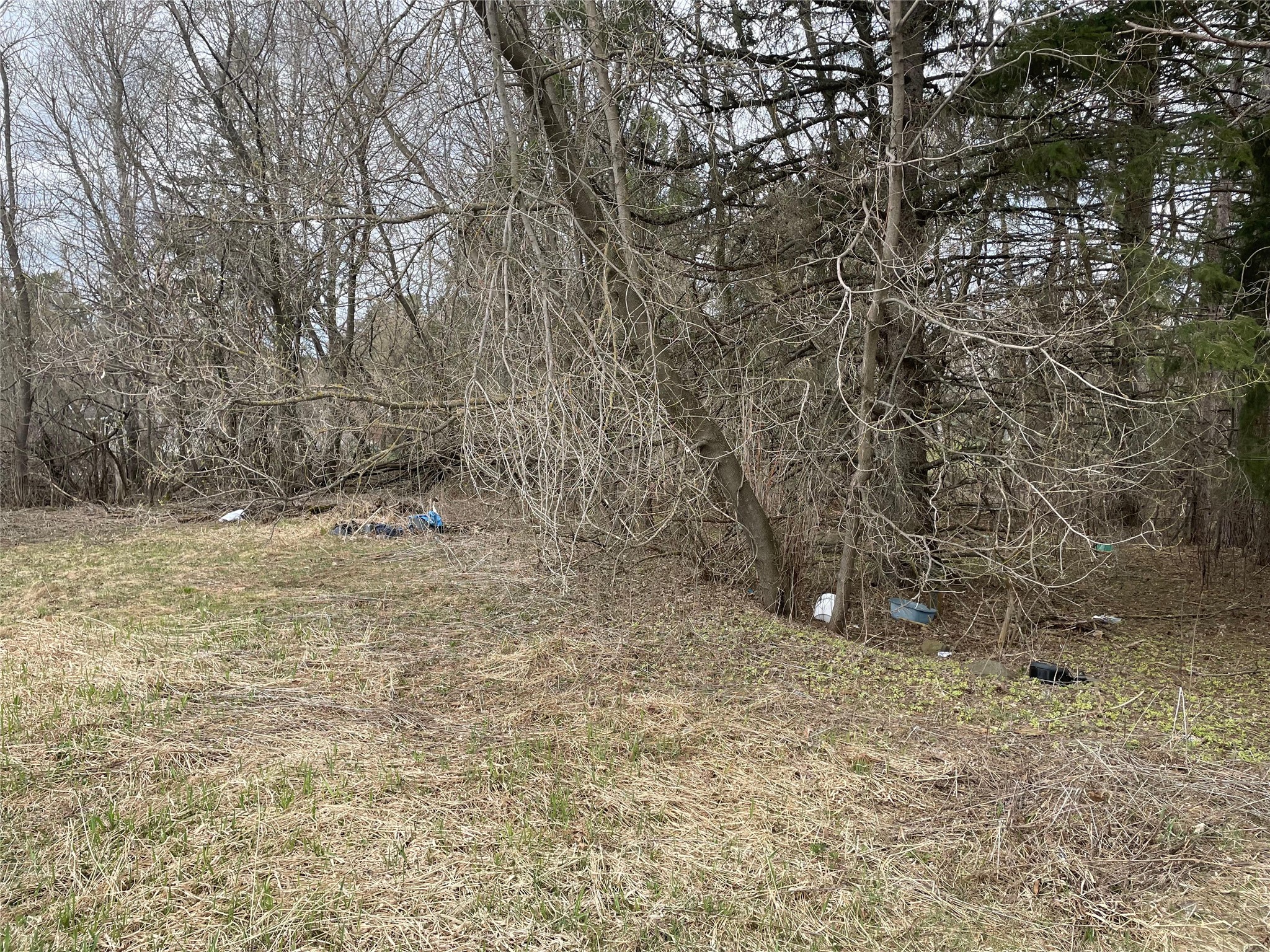 2 Lots Off Thurston Road Property Photo 2