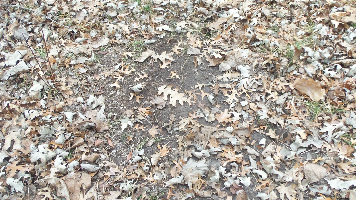 Lot 6 Canute Creek Trl Property Photo 6