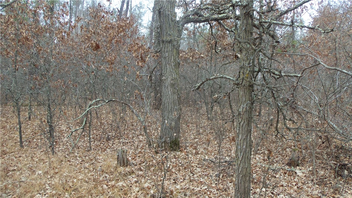 Lot 8 Canute Creek Trl Property Photo 4