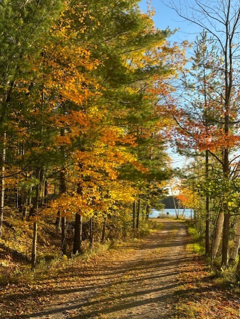 11495 W Tiger Cat Road Property Photo 20