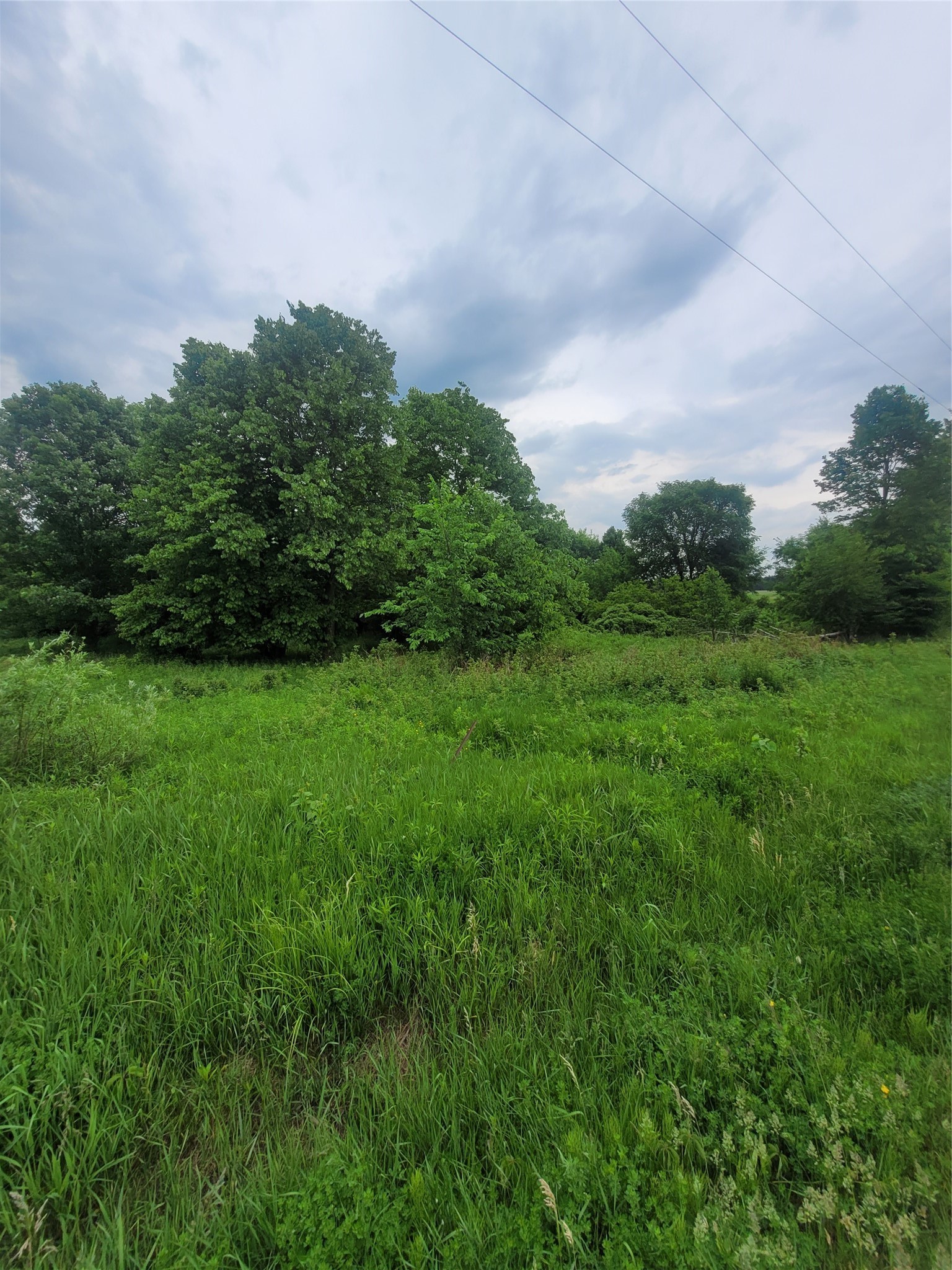 0 County Hwy B Lot 1 Property Photo 1