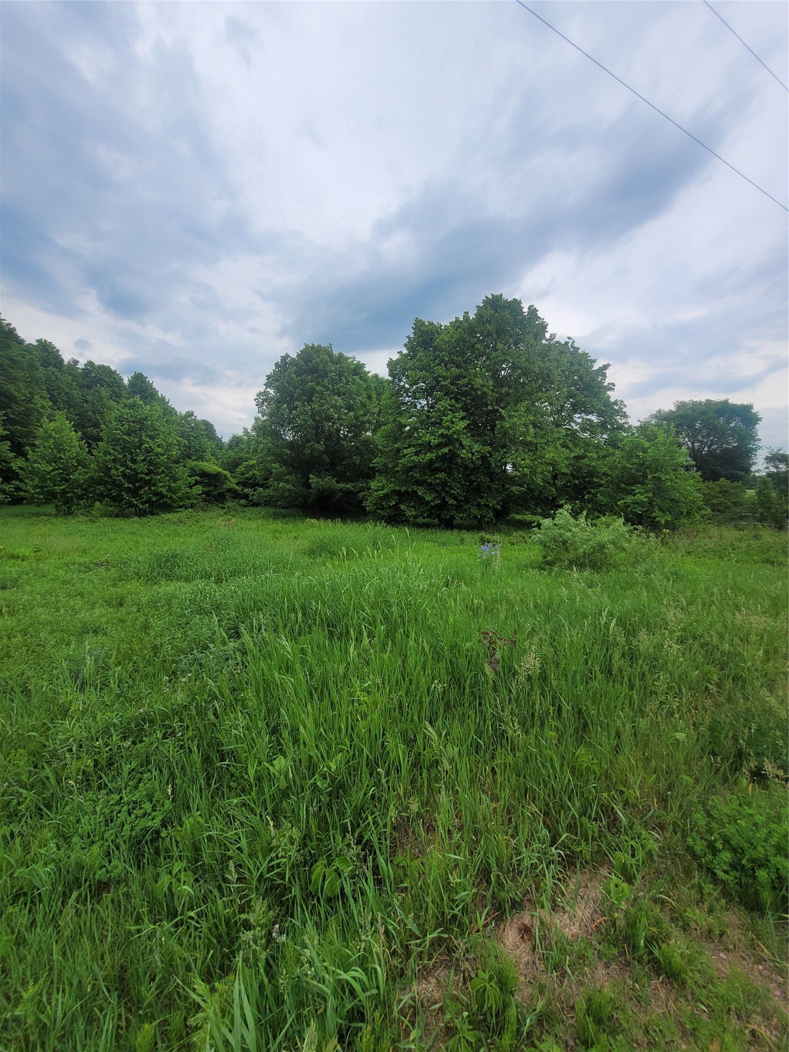 0 County Hwy B Lot 1 Property Photo 3