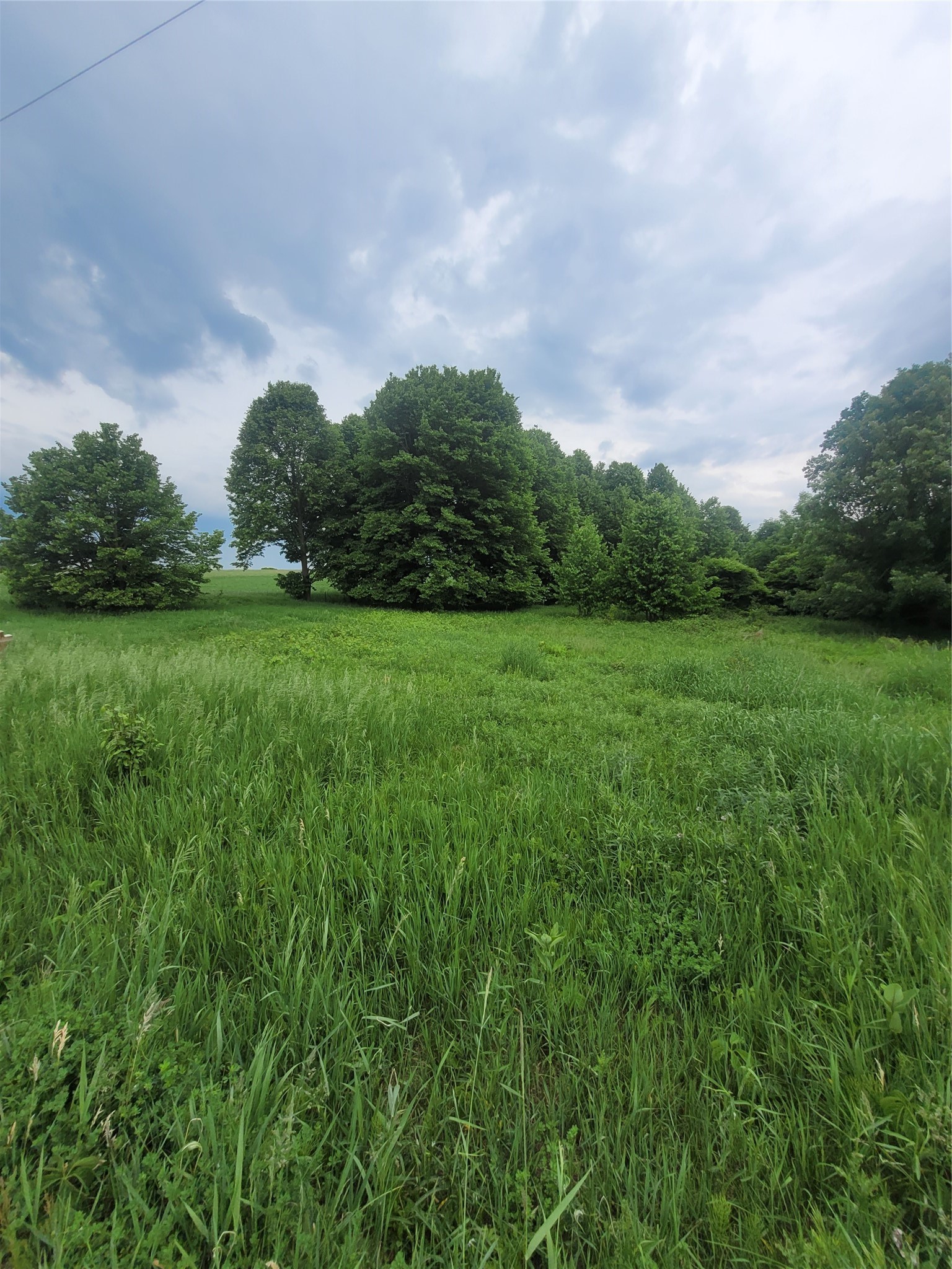 0 County Hwy B Lot 1 Property Photo 4