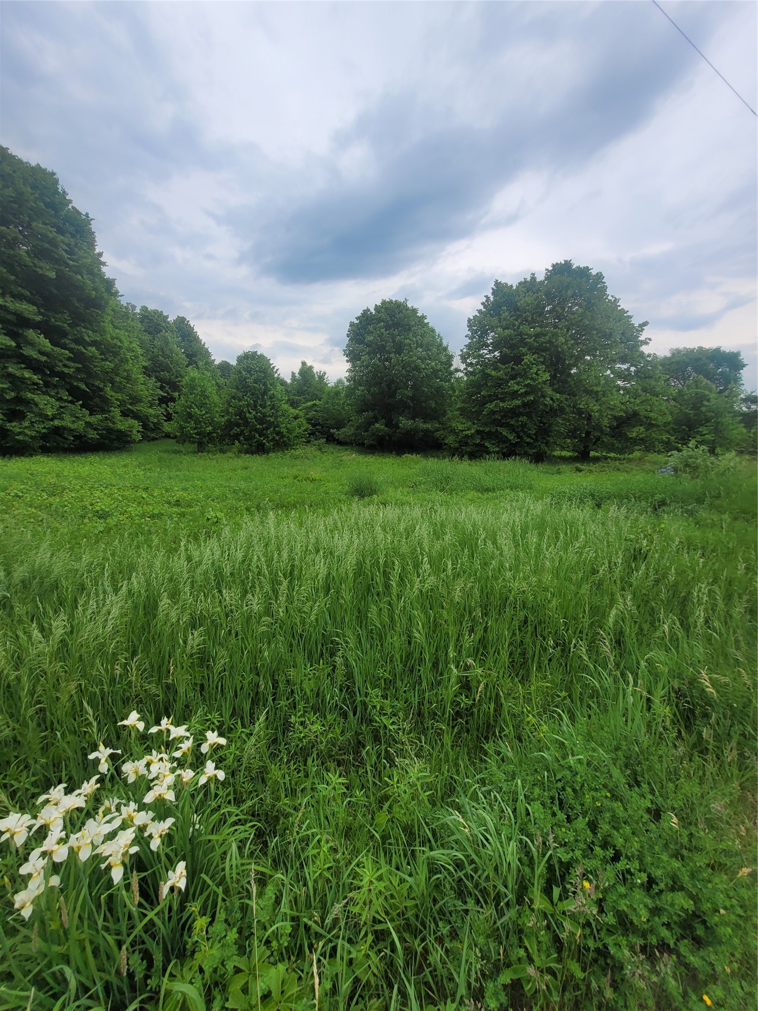0 County Hwy B Lot 1 Property Photo 5