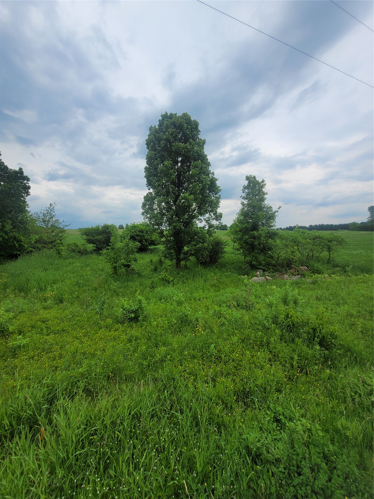 00 County Hwy B Lot 2 Property Photo 1