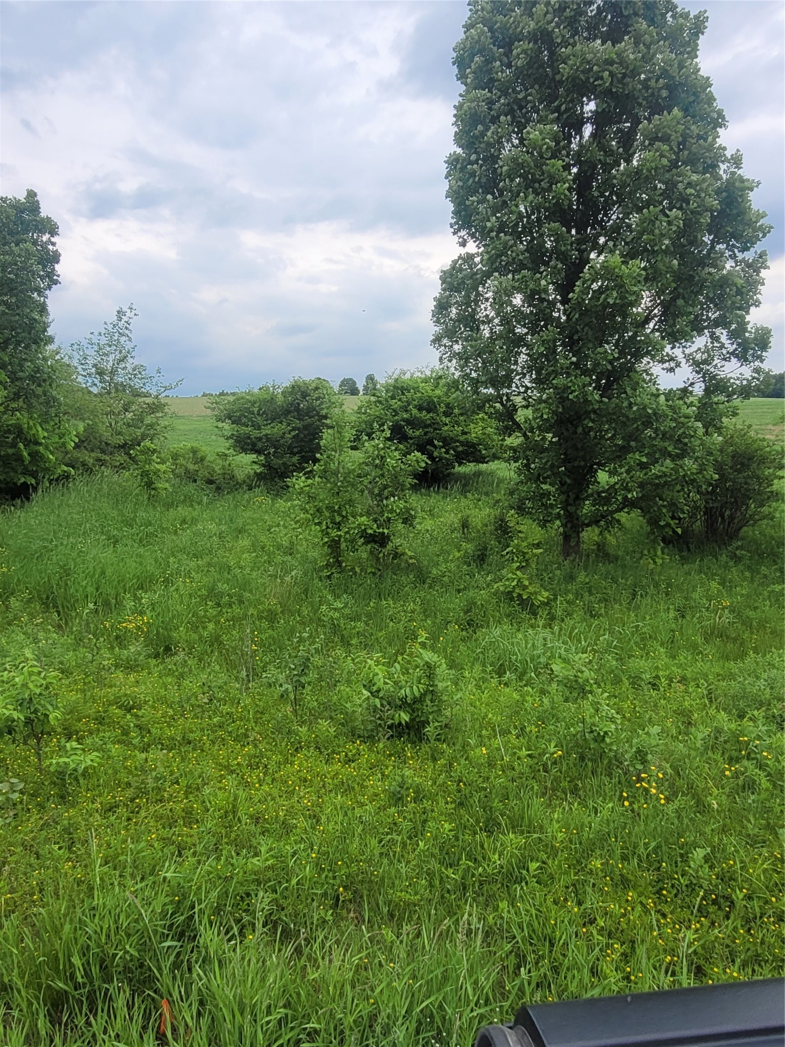 00 County Hwy B Lot 2 Property Photo 4