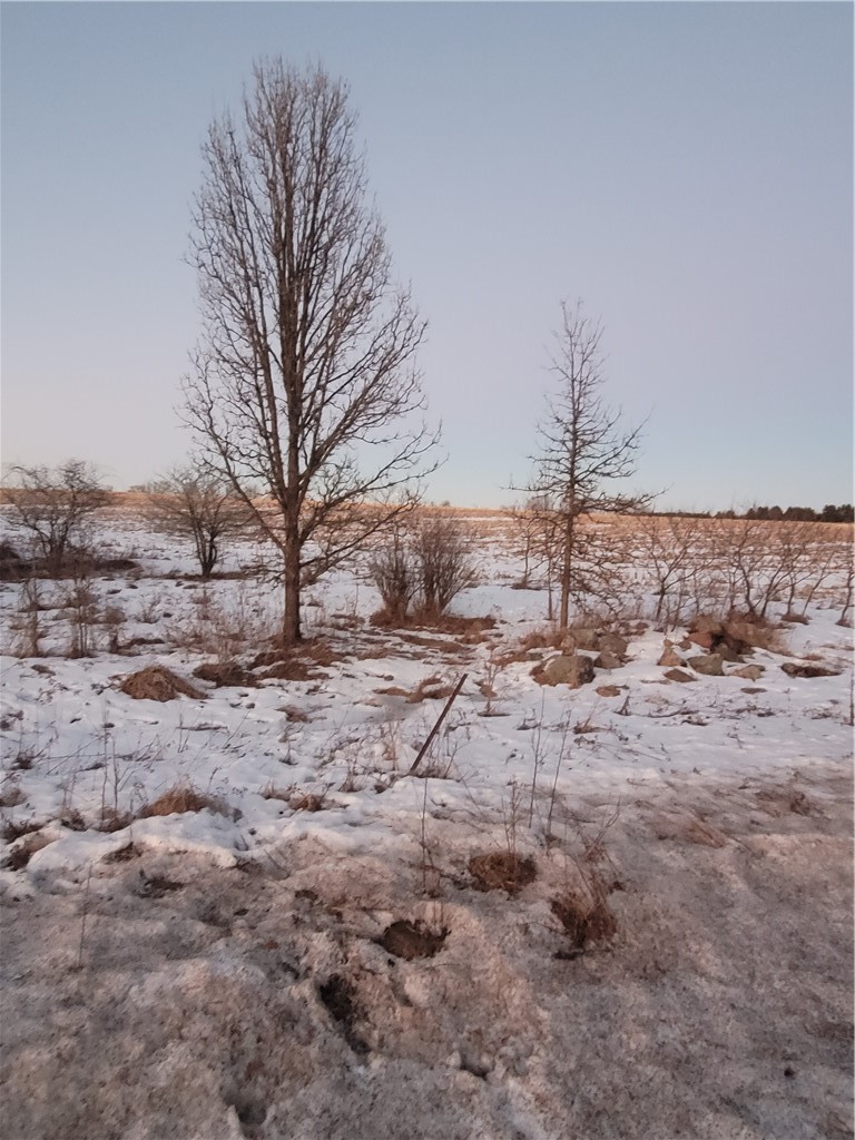 00 County Hwy B Lot 2 Property Photo 9