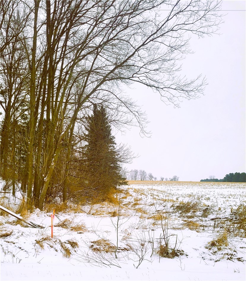 0000 County Hwy B Lot 4 Property Photo 6