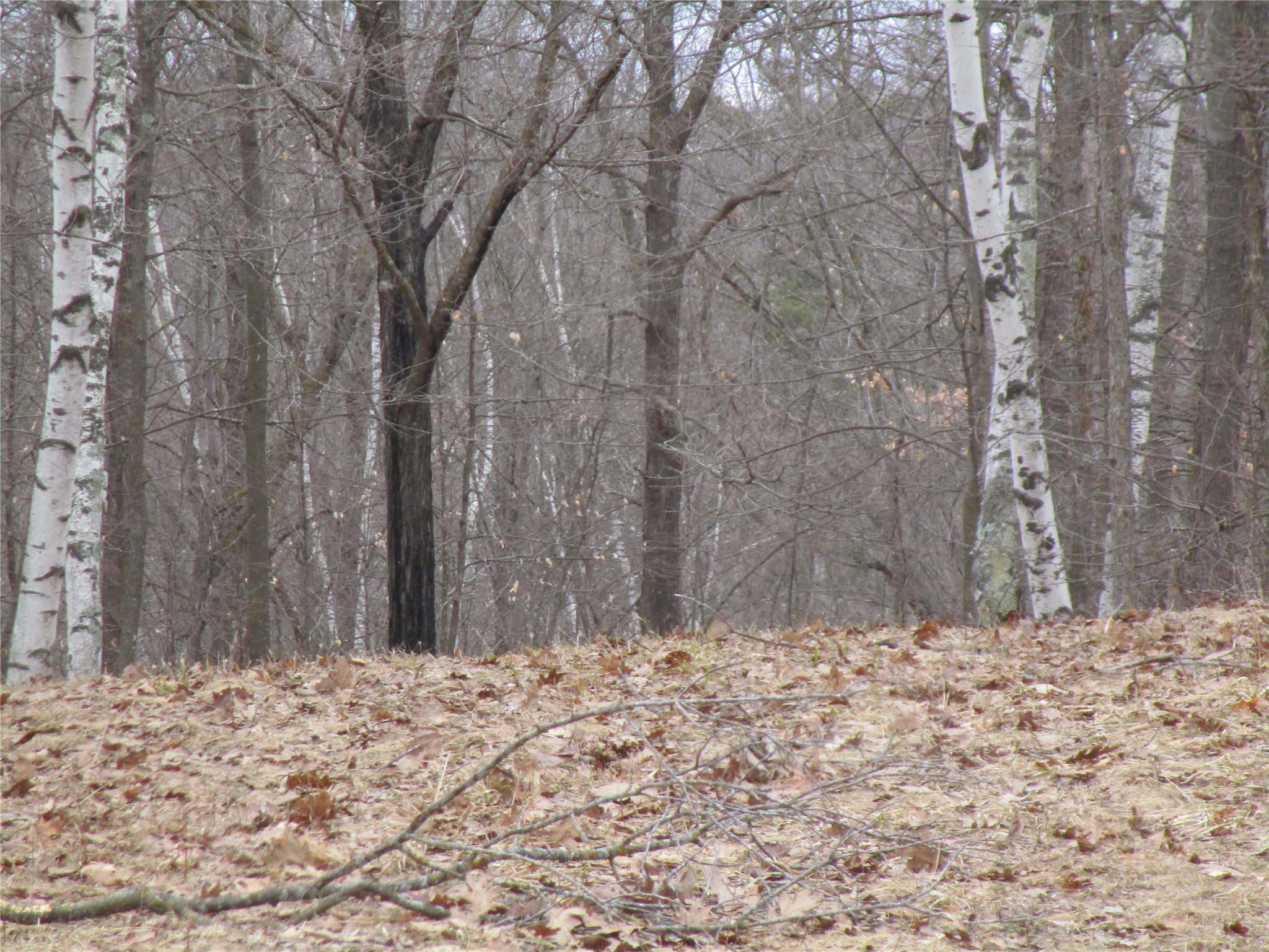 000 Camp Road Property Photo 1