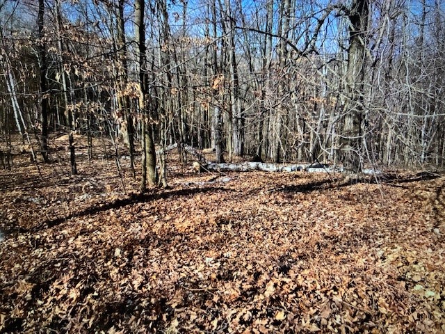000 Camp Road Property Photo 3