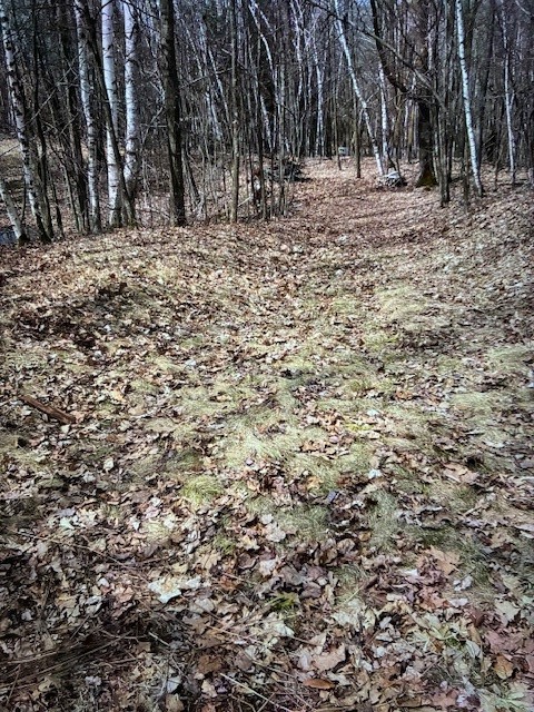 000 Camp Road Property Photo 4