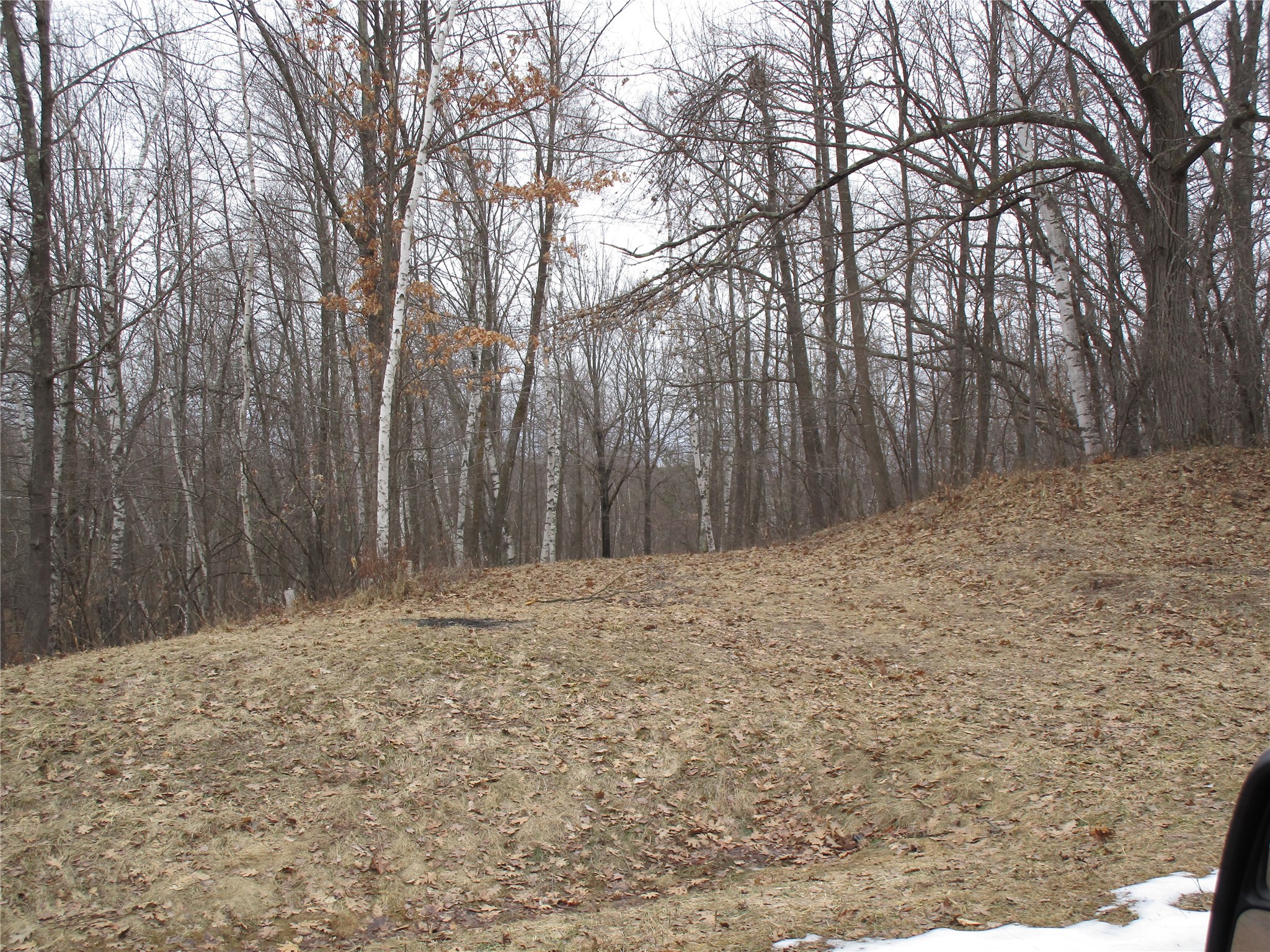 000 Camp Road Property Photo 6