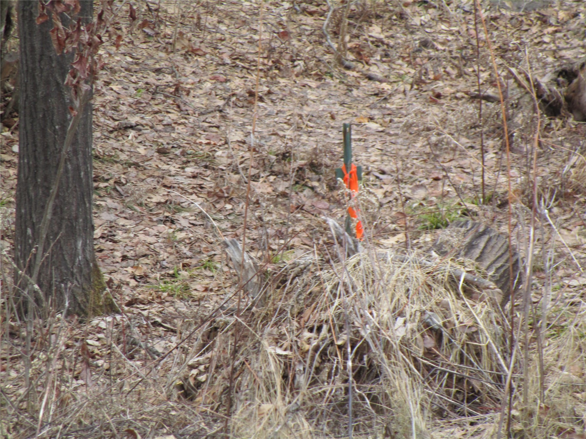 000 Camp Road Property Photo 11