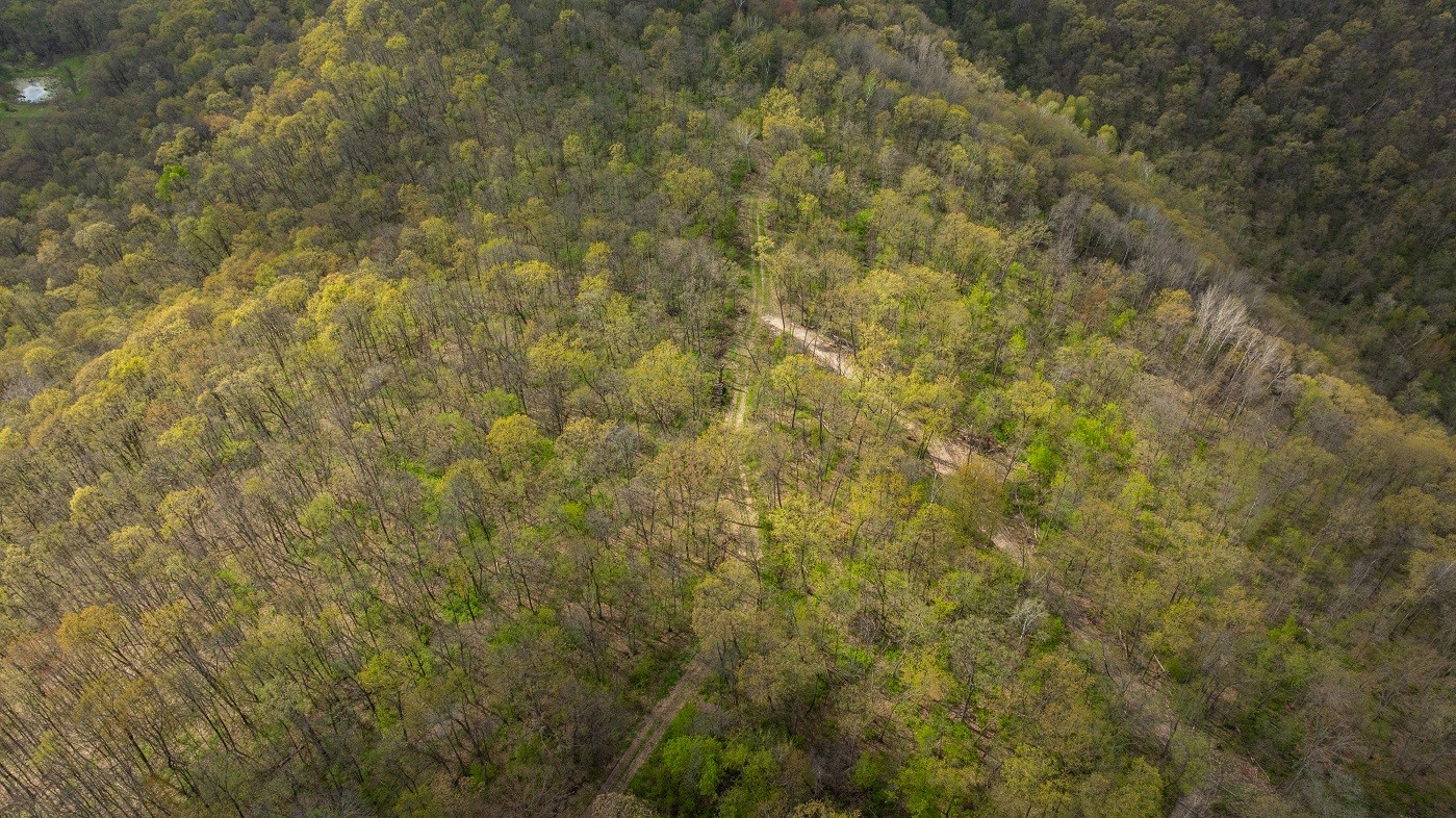 0 Yaeger Valley Road Property Photo 8