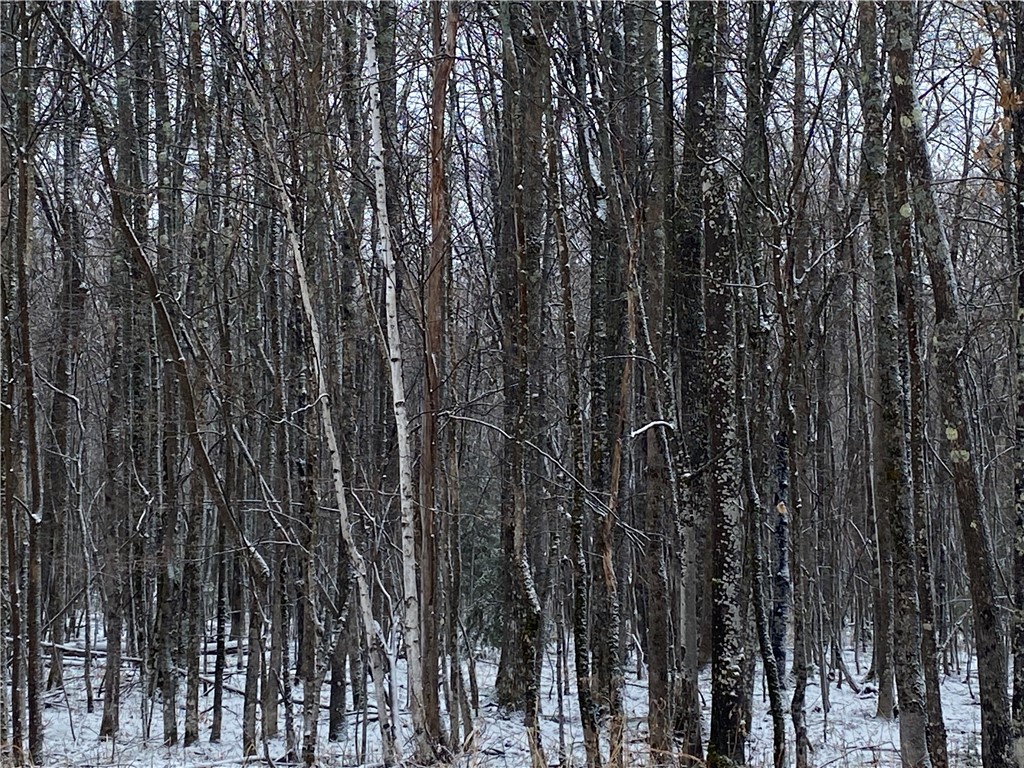 Near Seven Mile Road
