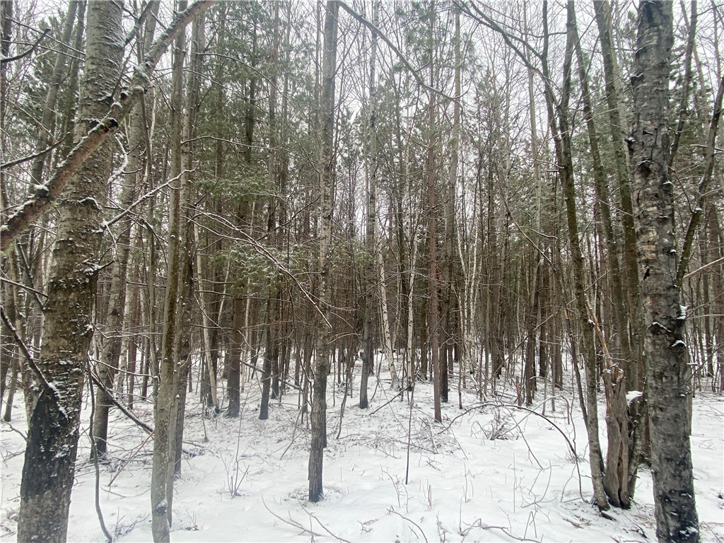 Near Seven Mile Road Property Photo 3