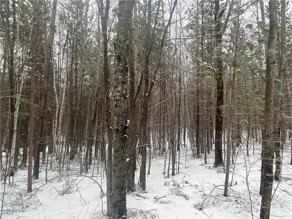 Near Seven Mile Road Property Photo 4