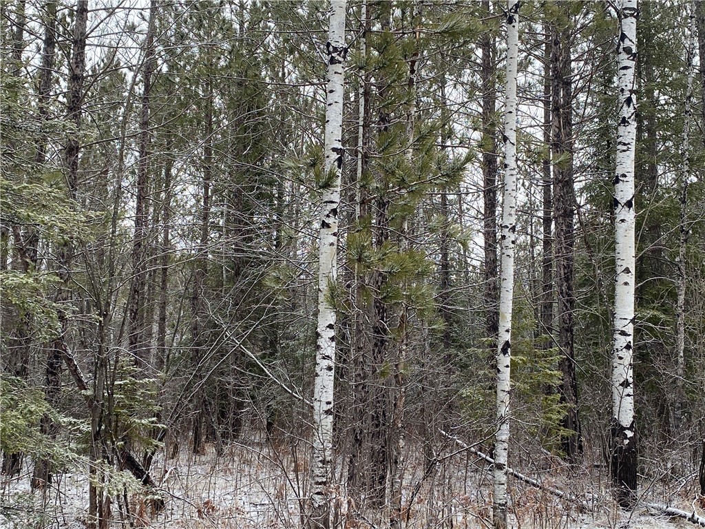 On Sorenson Road Property Photo 2