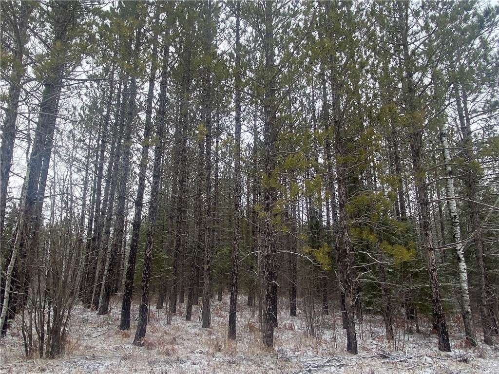 On Sorenson Road Property Photo 4
