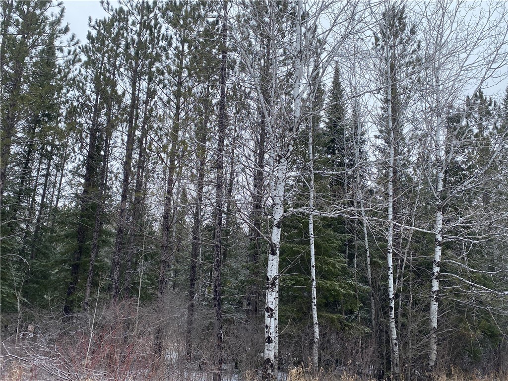 On Sorenson Road Property Photo 2