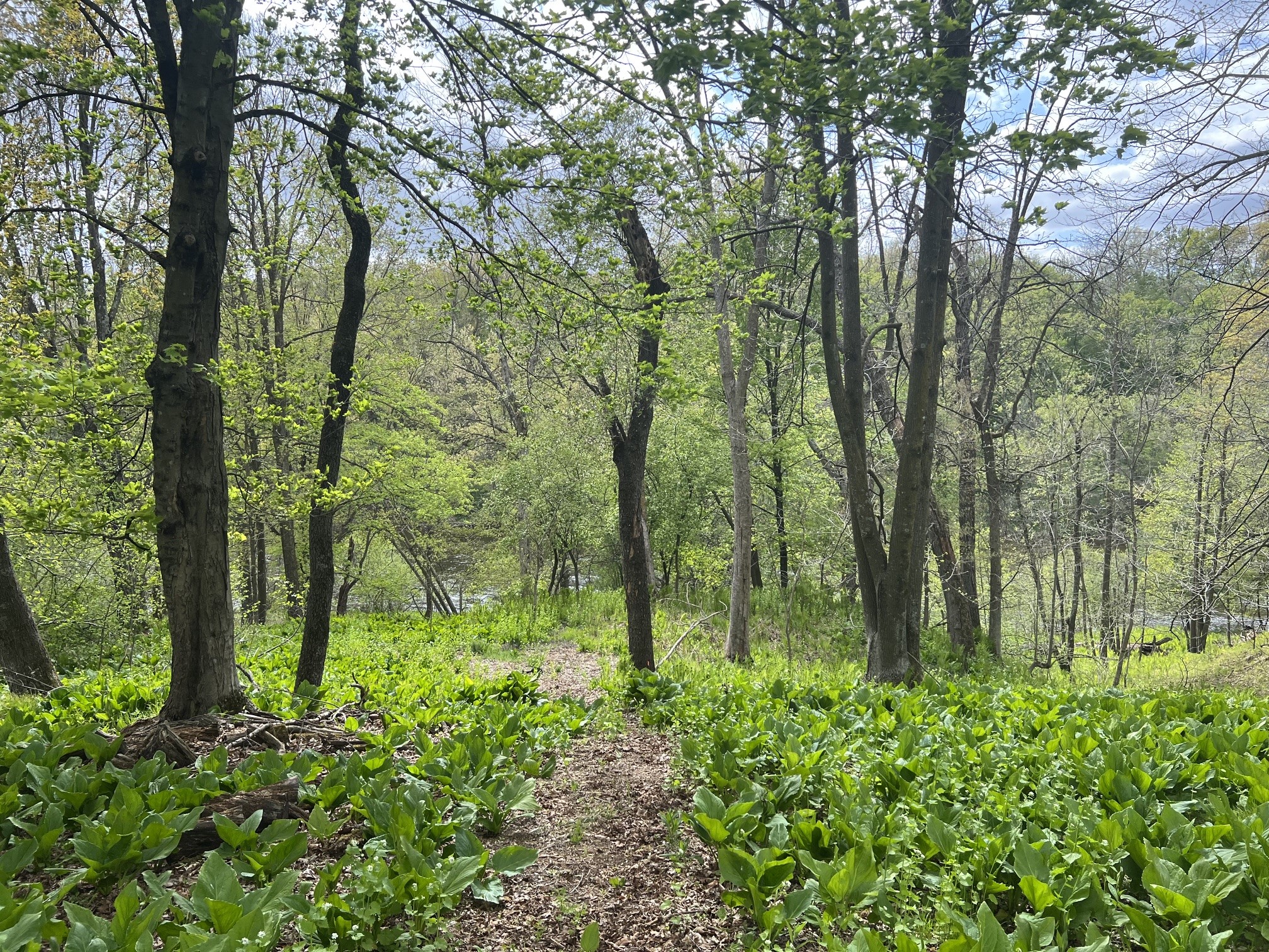 Tbd River Heights Road Property Photo 6