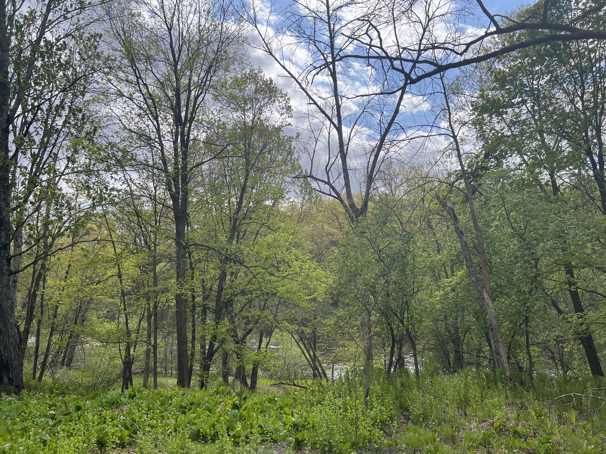 Tbd River Heights Road Property Photo 7