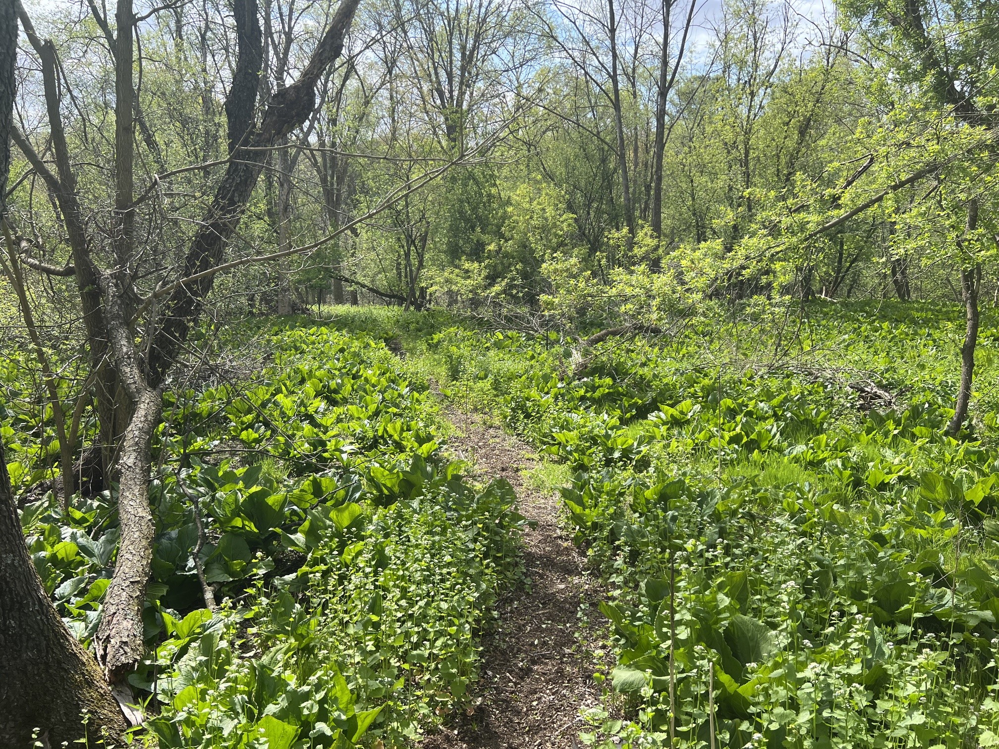 Tbd River Heights Road Property Photo 8