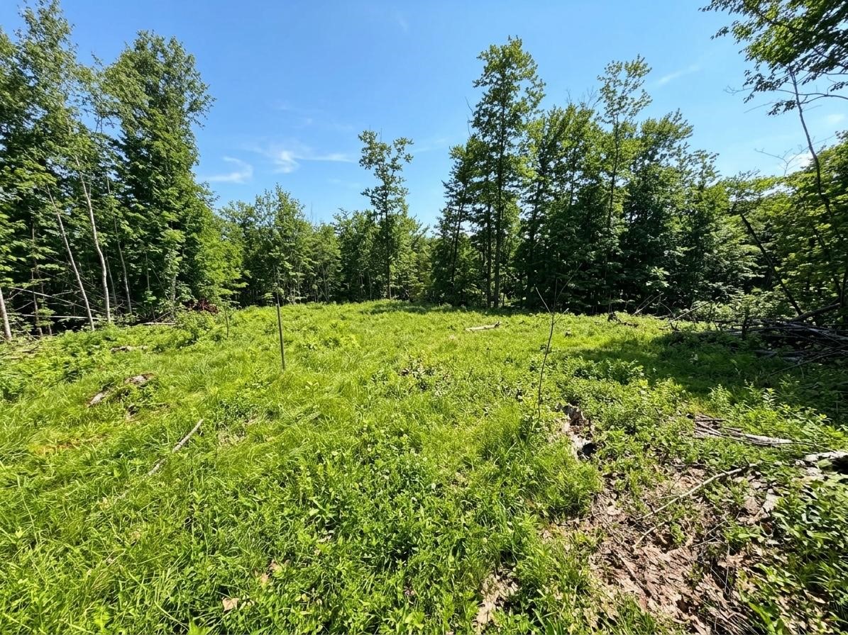 0 W State Highway 48 Property Photo 3