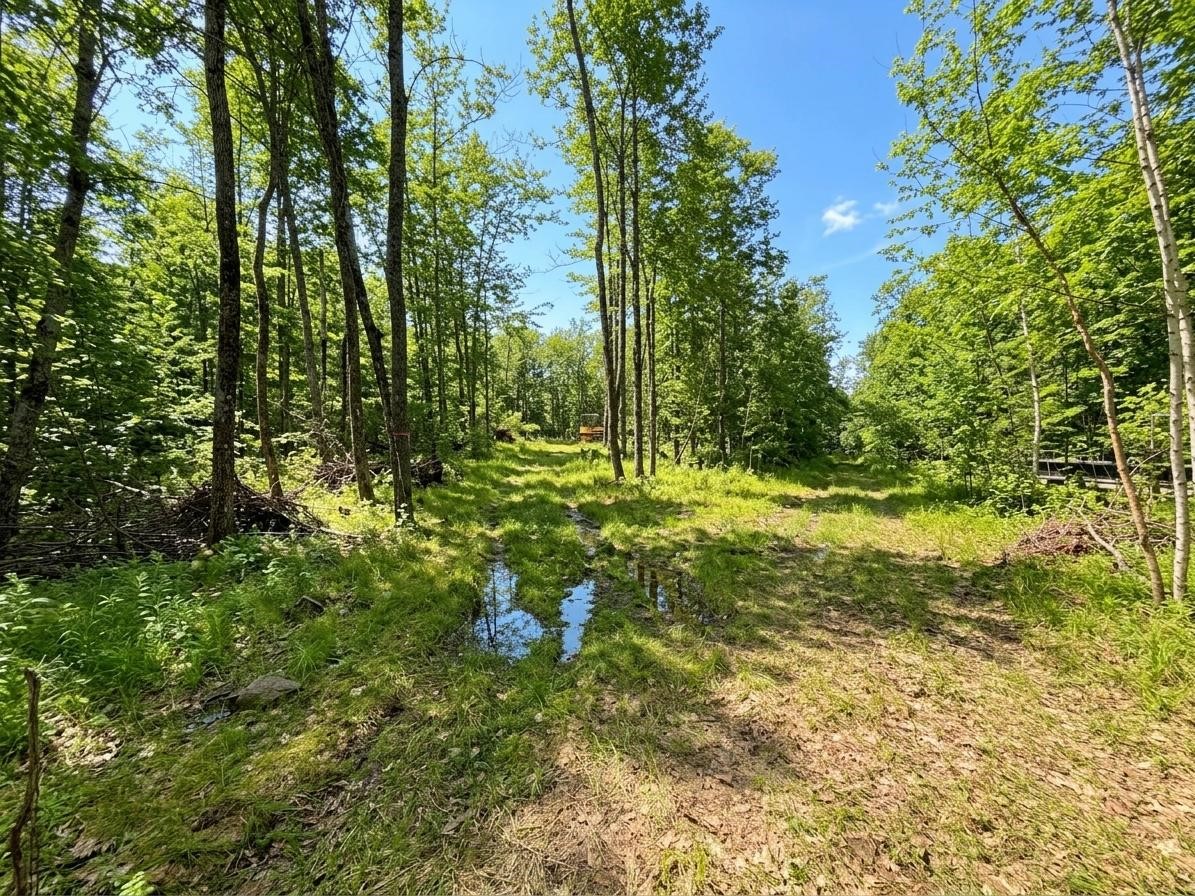 0 W State Highway 48 Property Photo 6