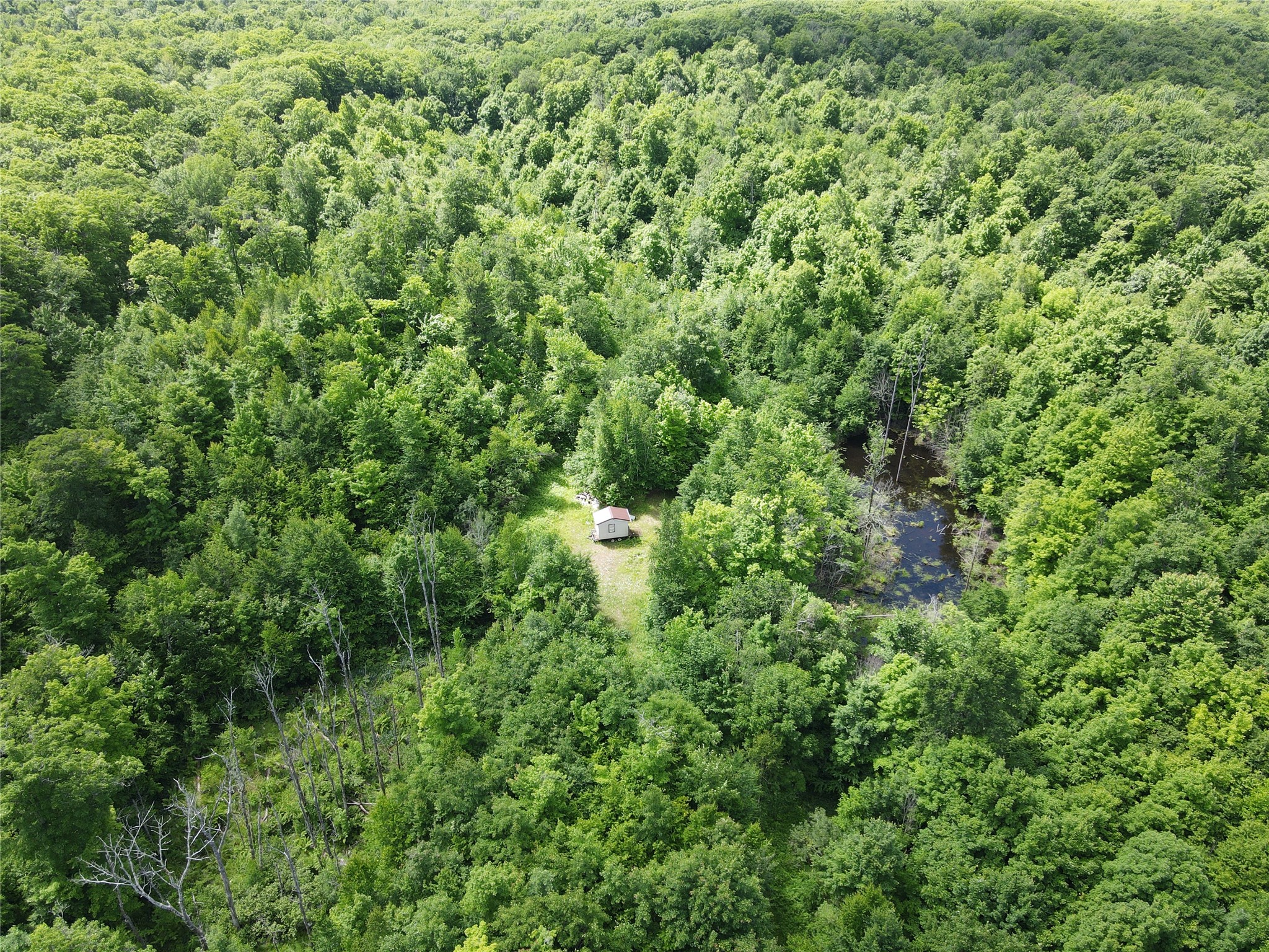0 W State Highway 48 Property Photo 7
