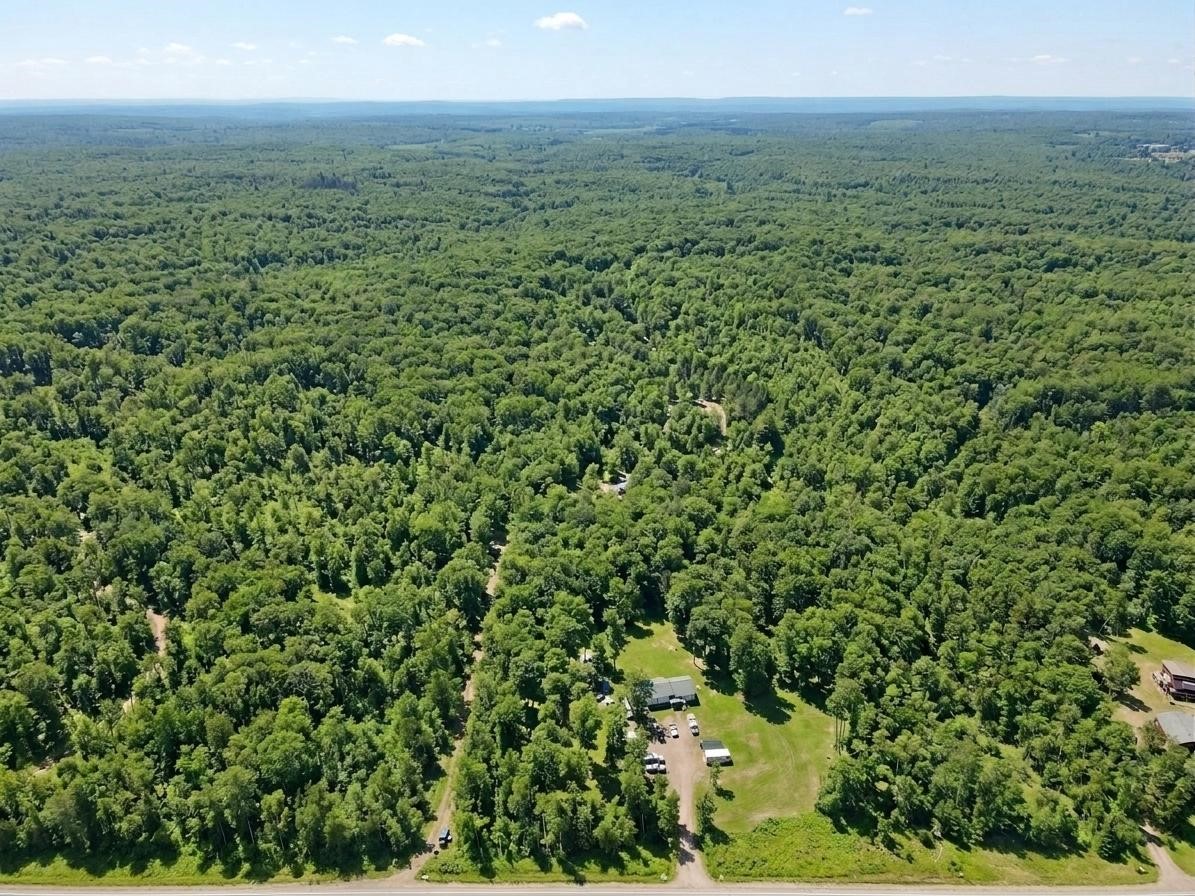 0 W State Highway 48 Property Photo 9