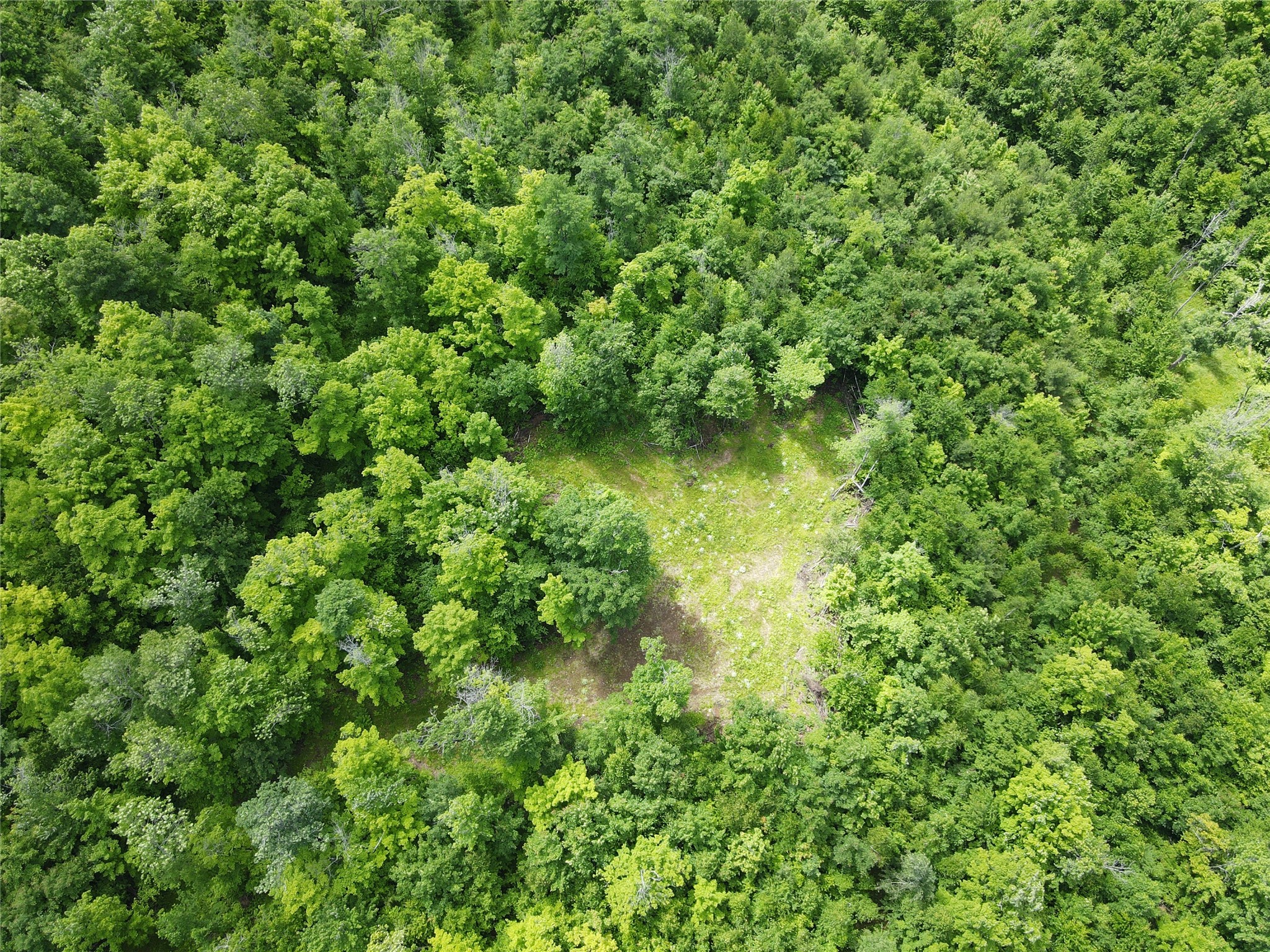 0 W State Highway 48 Property Photo 11