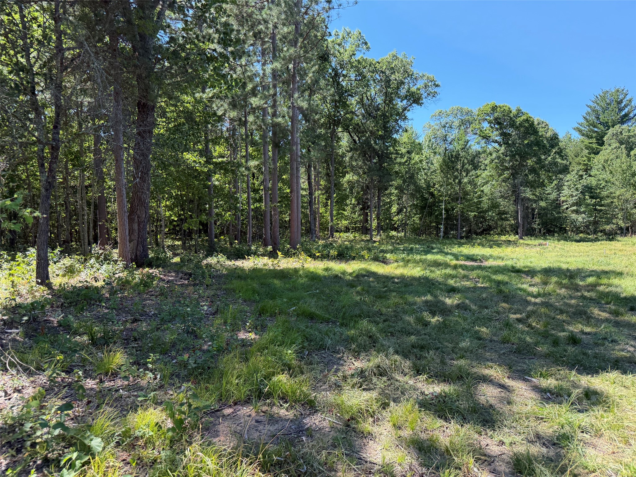 25106 Shady Oaks Lane Property Photo 1