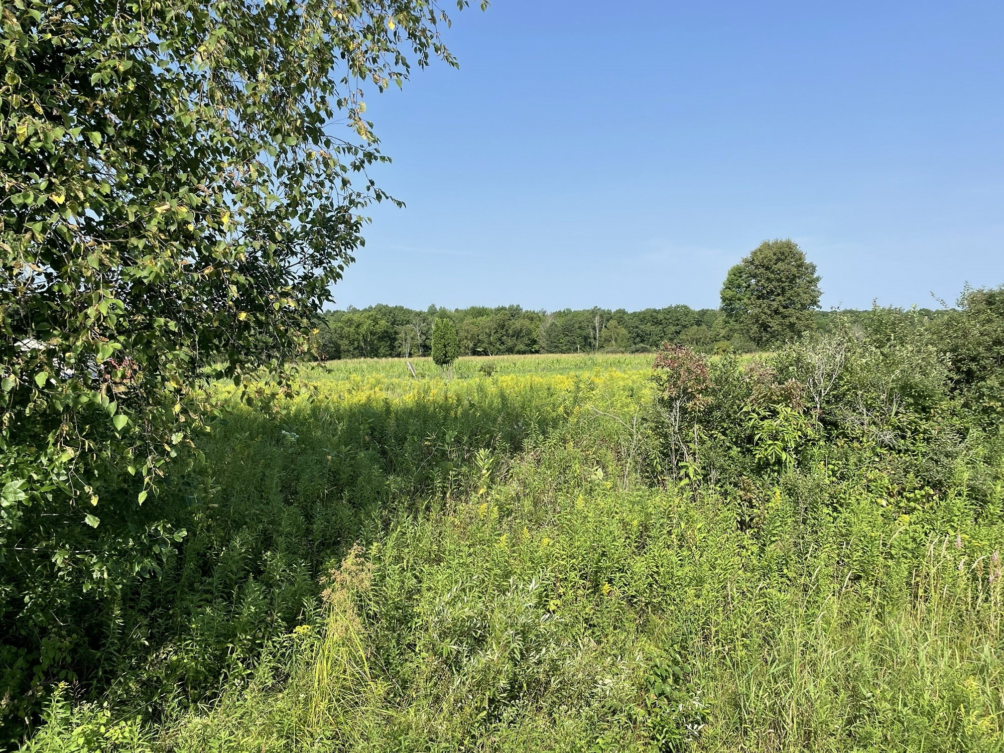 1768 290th Street Property Photo 3