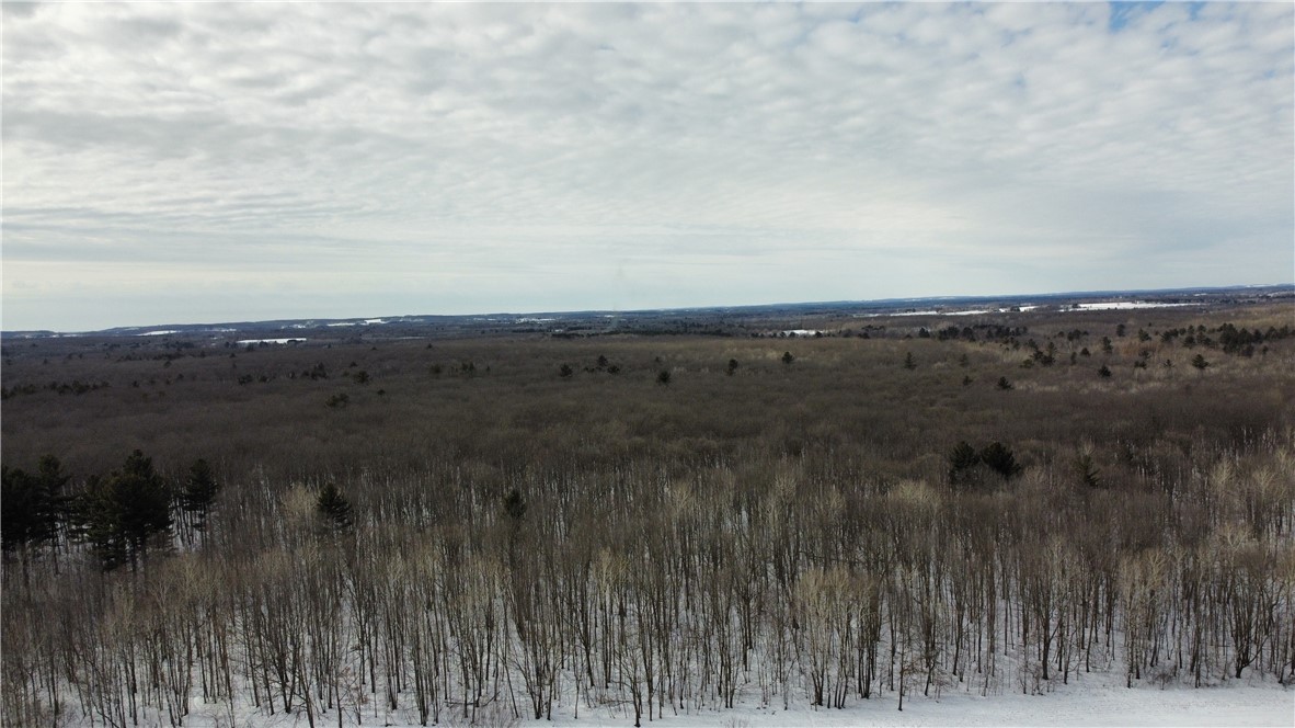 1768 290th Street Property Photo 6