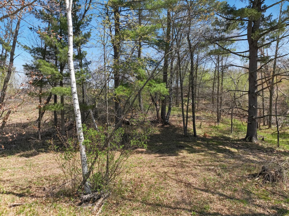 2376 10 7/8 Avenue Property Photo 18