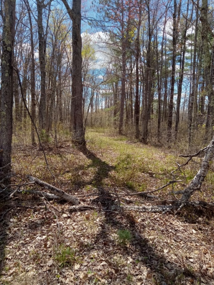 N8829 County Highway E Property Photo 2