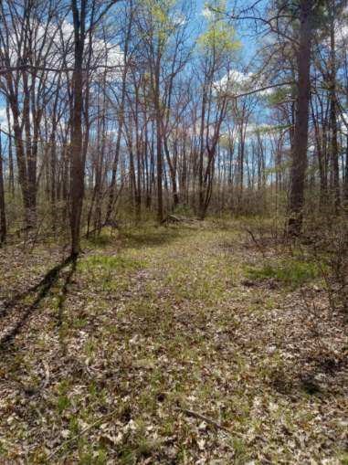 N8829 County Highway E Property Photo 3